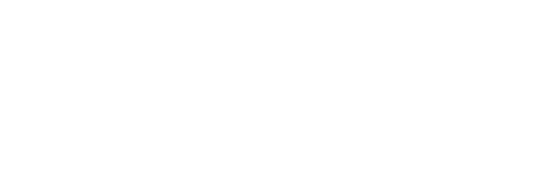 Logo Item