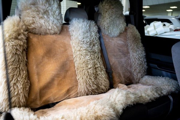 Nissan X-Trail — изображение 17